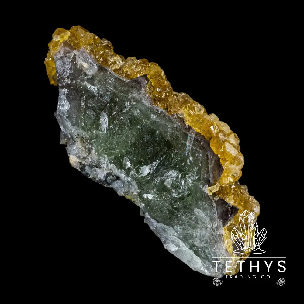 Barite W/ Fluorite Wysiwyg