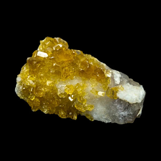 Barite Wysiwyg