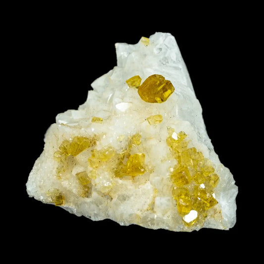 Barite Wysiwyg