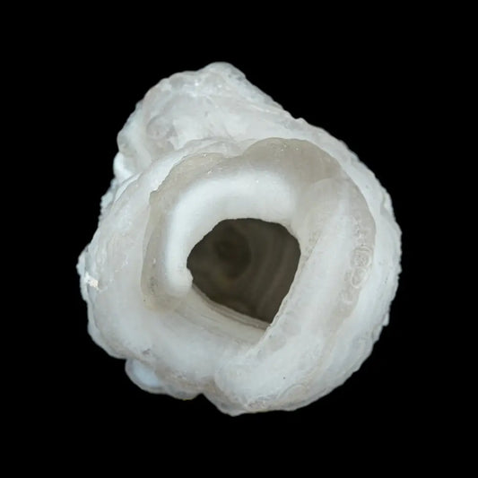 Chalcedony Wysiwyg