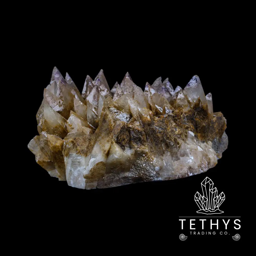 Dogtooth Calcite Wysiwyg