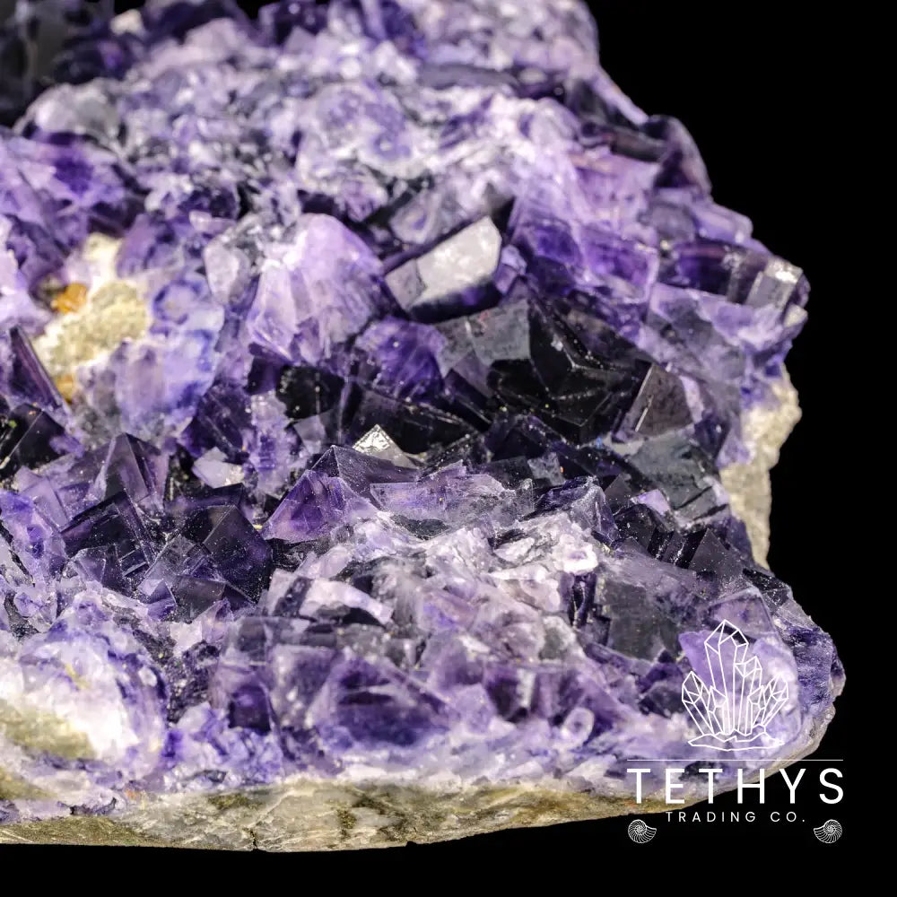 Fluorite Purple (Med/Lg) Wysiwyg