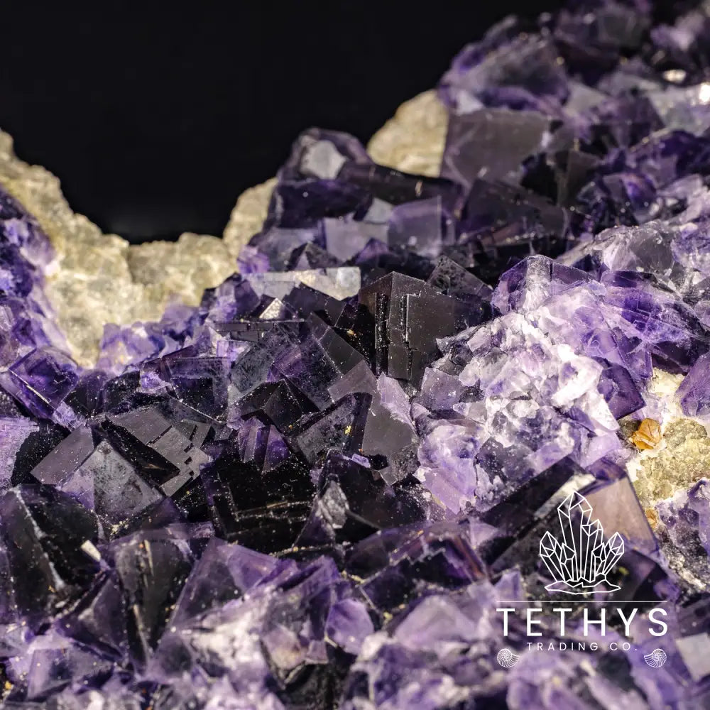 Fluorite Purple (Med/Lg) Wysiwyg