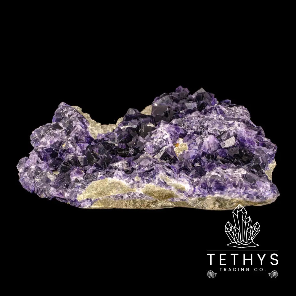 Fluorite Purple (Med/Lg) Wysiwyg