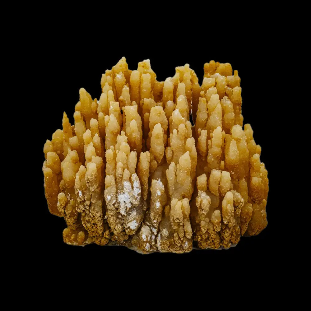 Stalactite Formation (Calcite) Wysiwyg