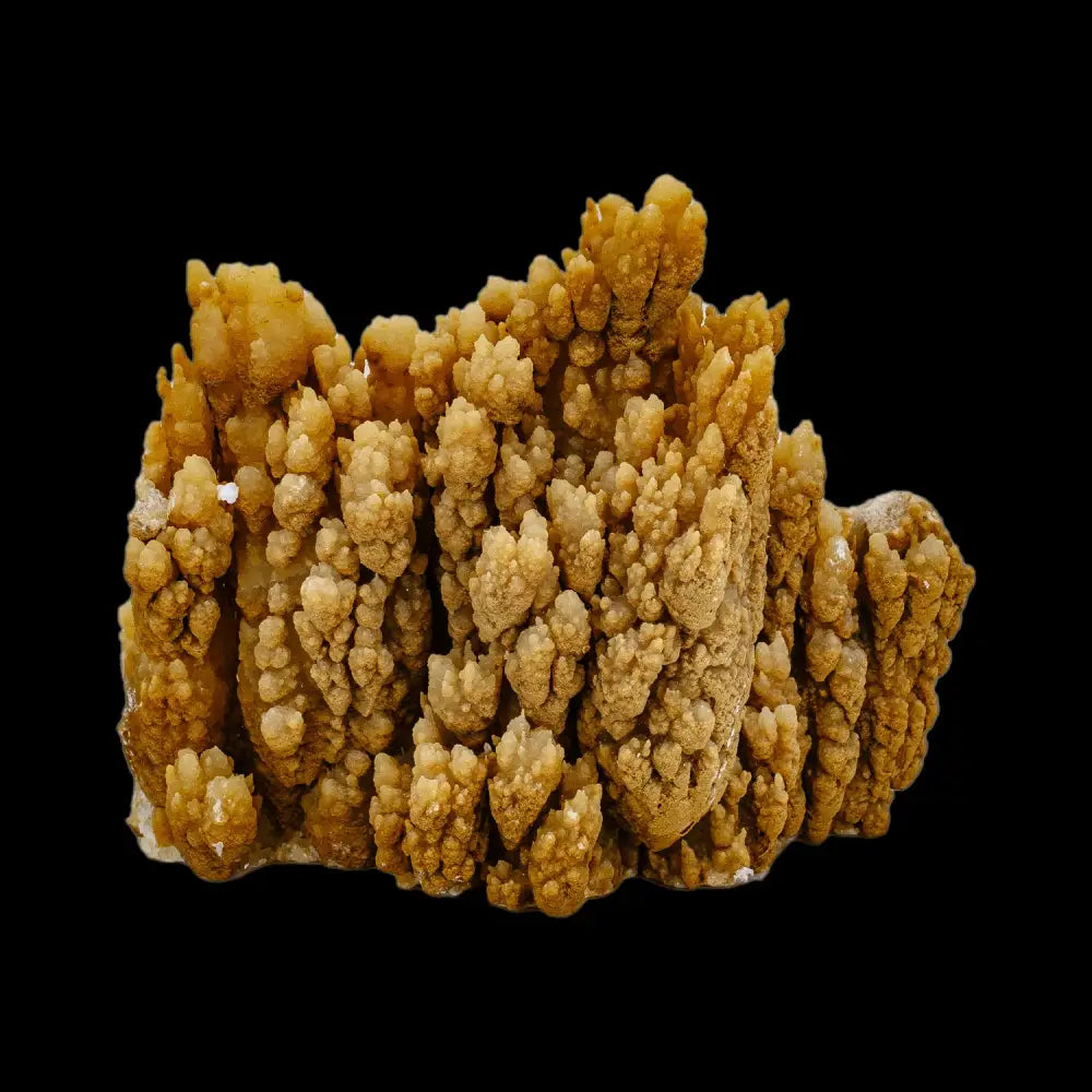 Stalactite Formation (Calcite) Wysiwyg