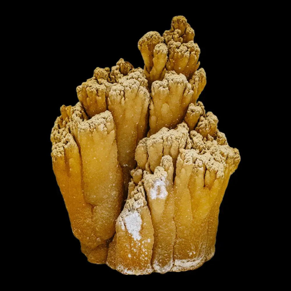 Stalactite Formation (Calcite) Wysiwyg